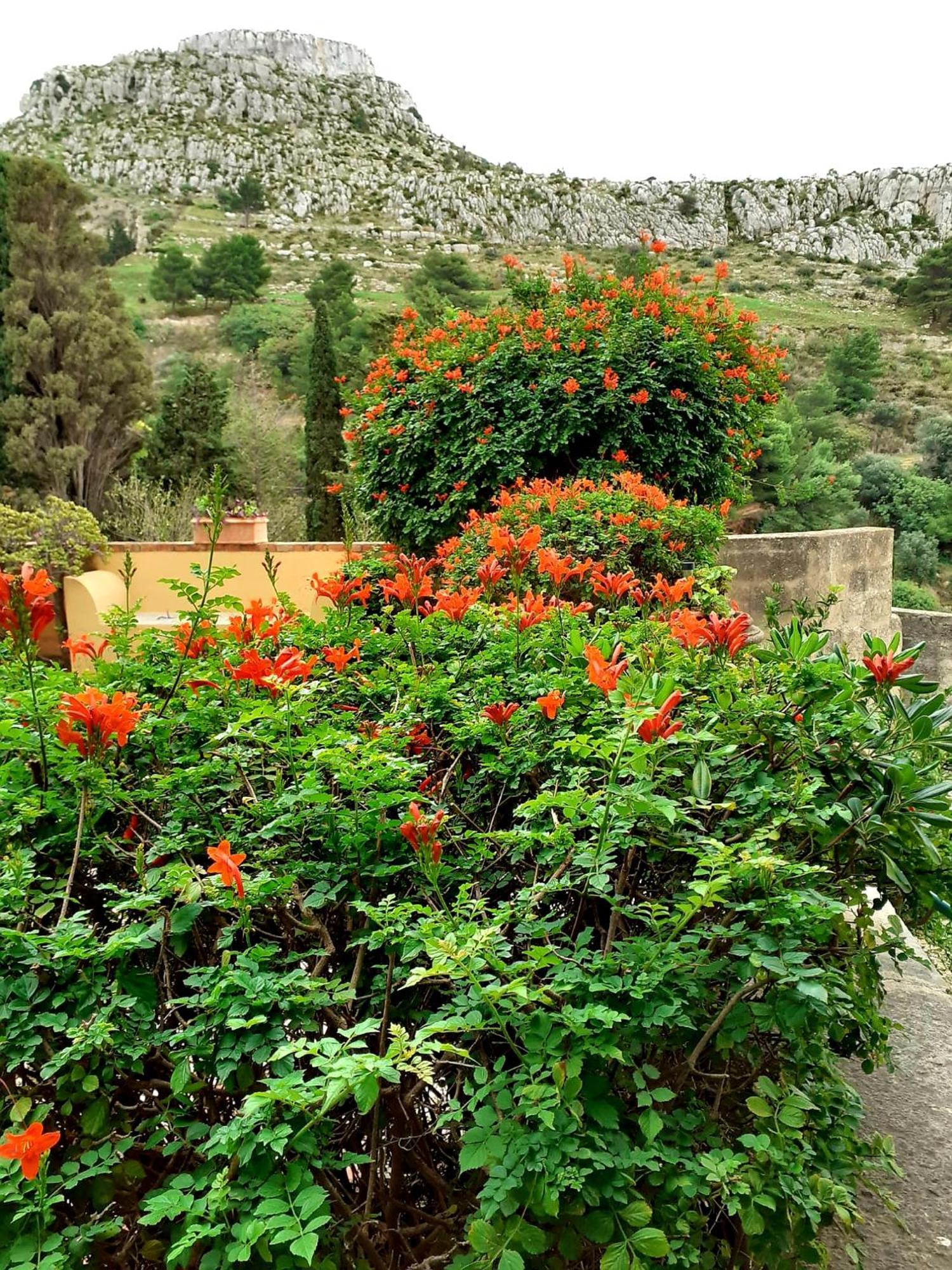 Casa "Le Terrazze" Villa Erice Bagian luar foto