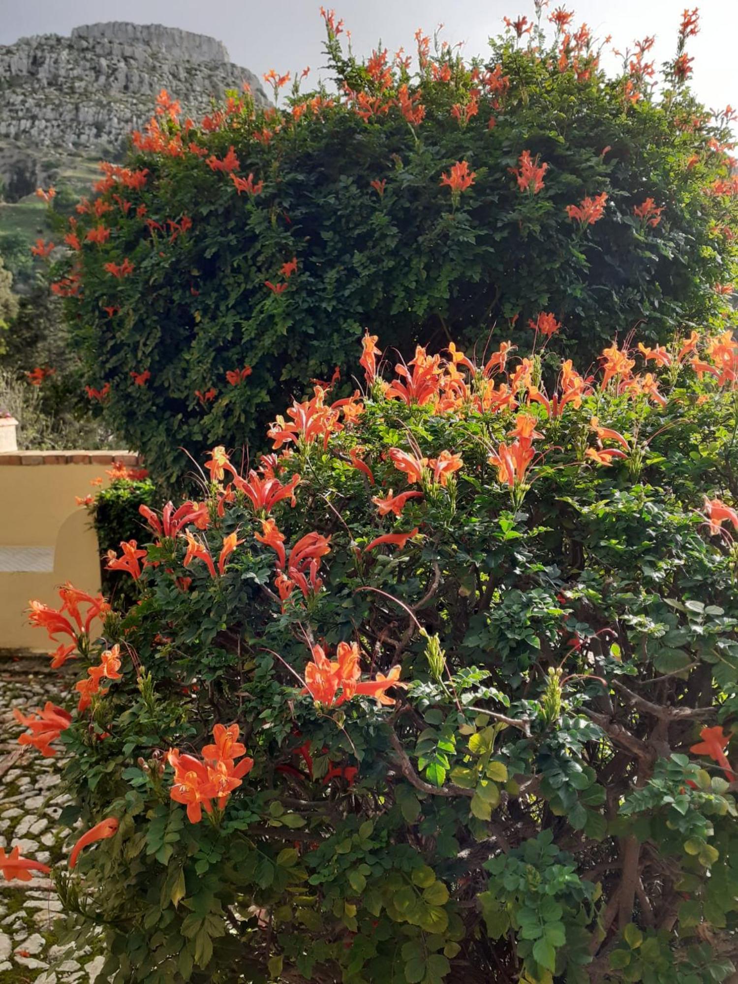 Casa "Le Terrazze" Villa Erice Bagian luar foto